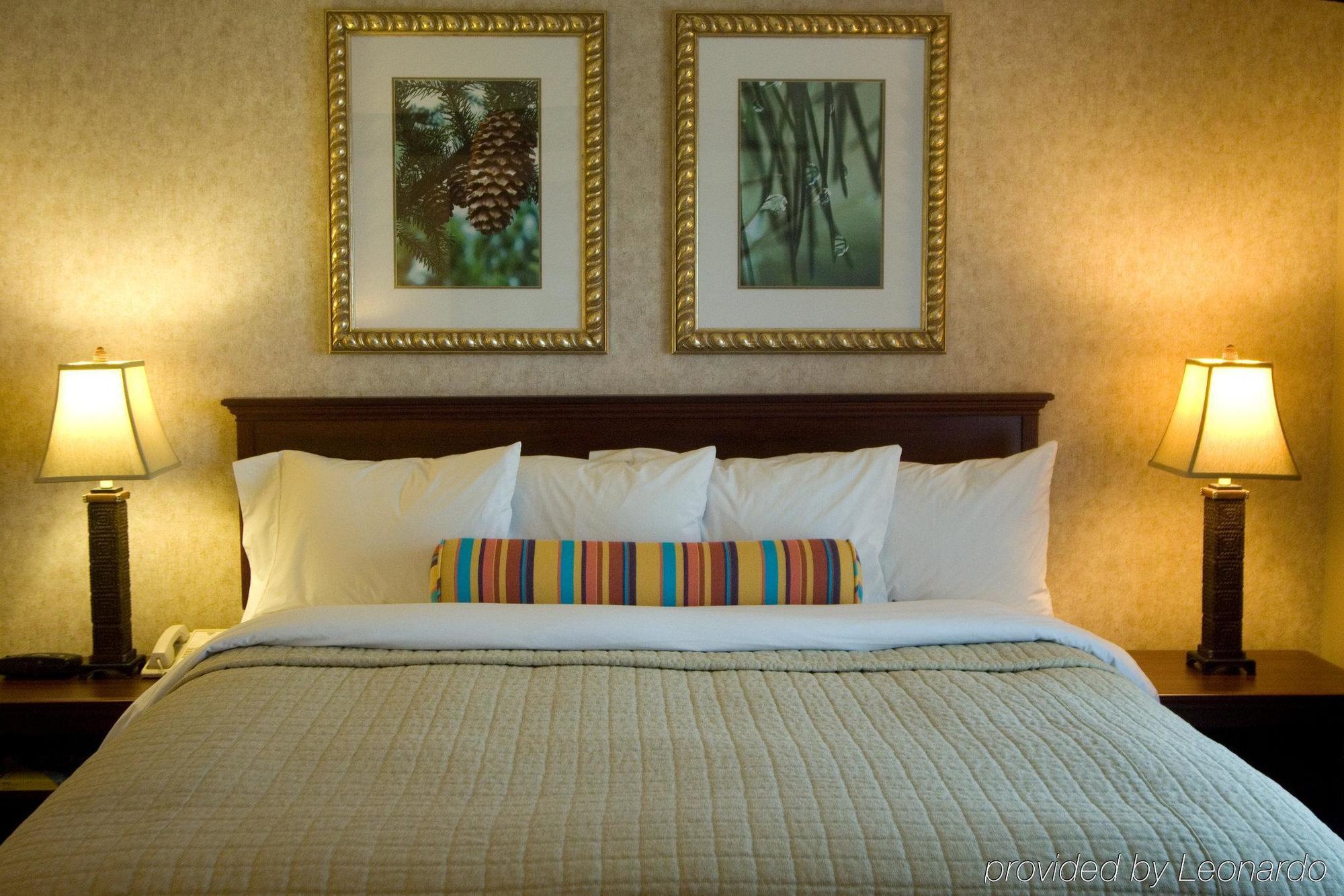 Phoenix Inn Suites Albany Camera foto
