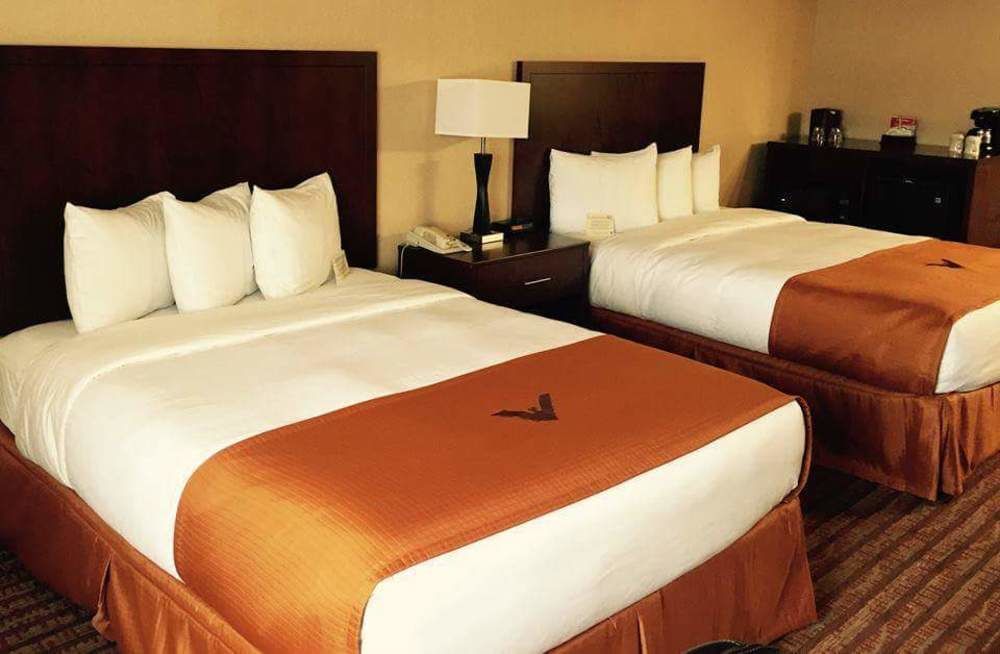 Phoenix Inn Suites Albany Esterno foto
